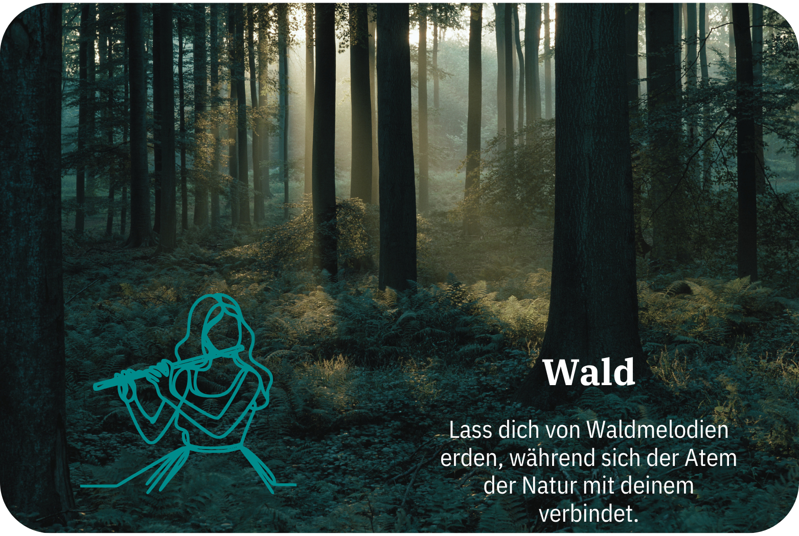 Wald | Klanglandschaften